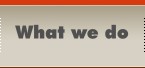 HIGHER STANDARD SOLUTIONS What We Do