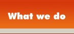 HIGHER STANDARD SOLUTIONS What We Do